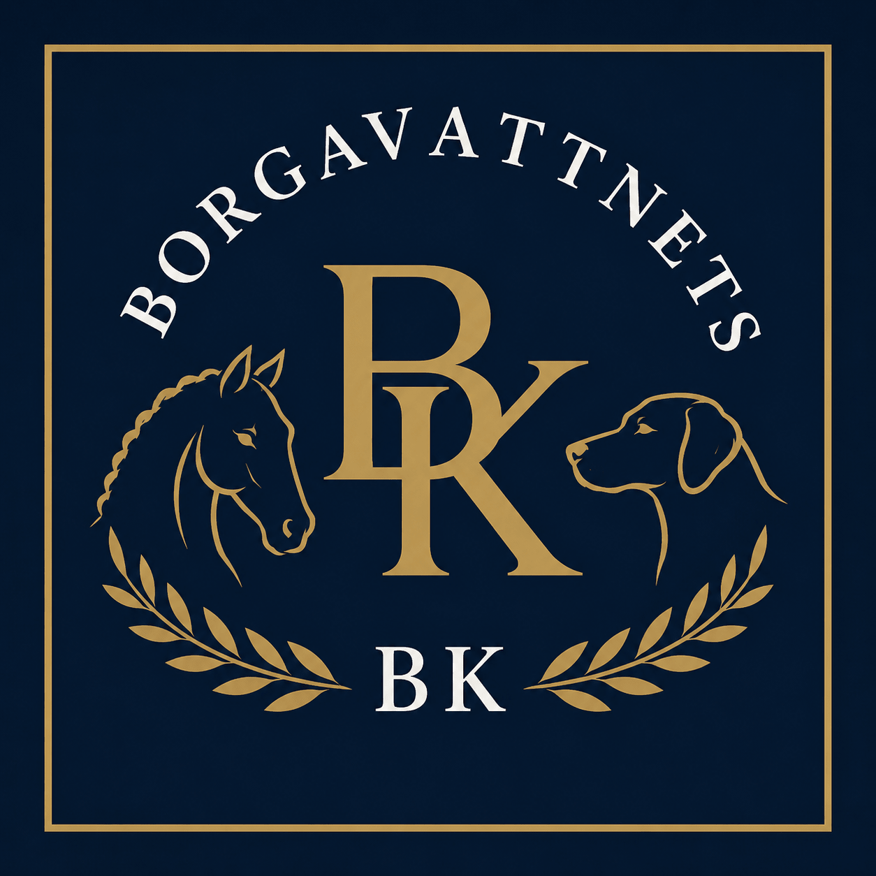 Borgavattnets BK - Imperiq