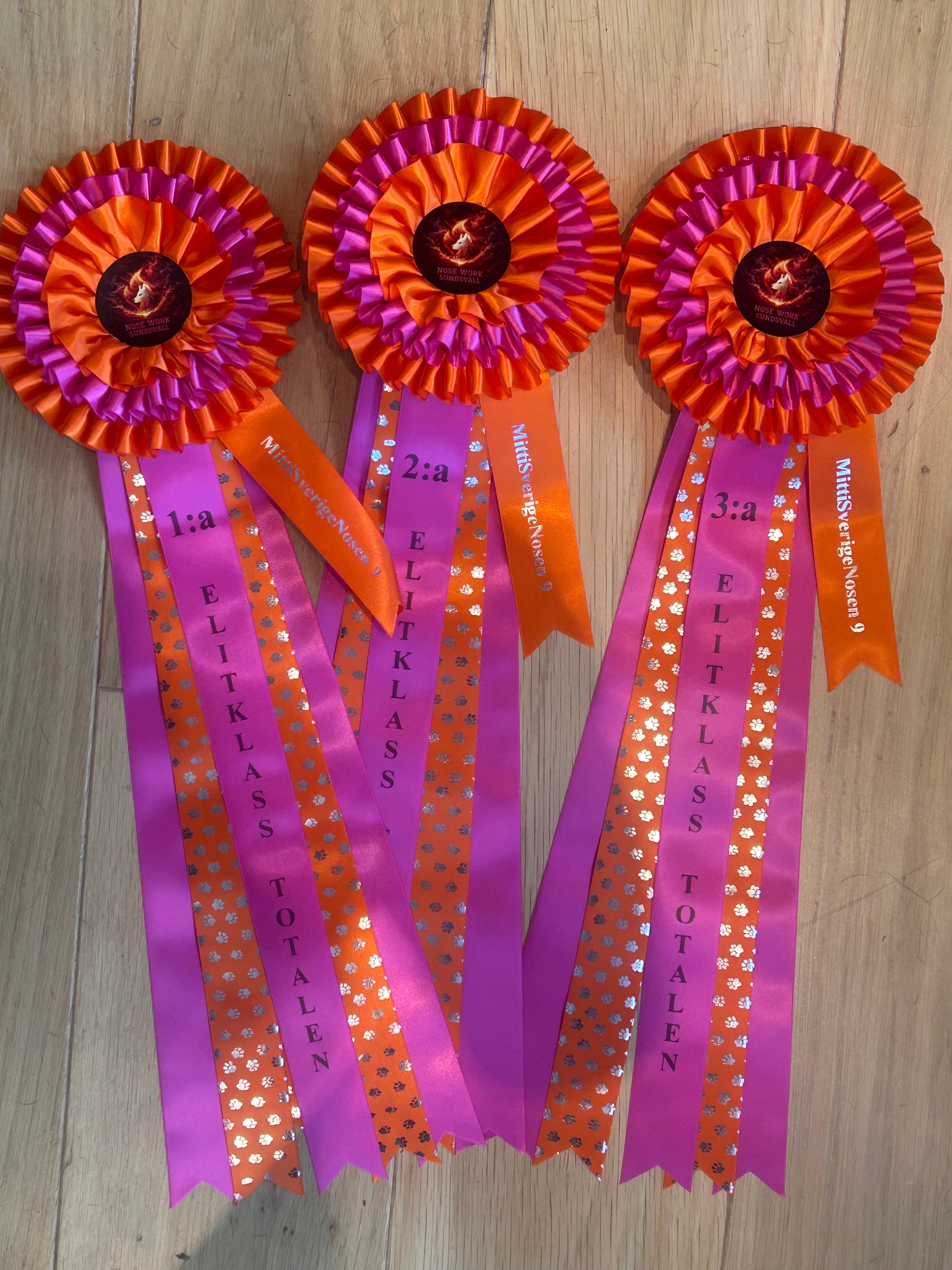 Rosettpaket Elit Nose Work Sundsvall