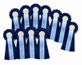 Agility Placeringsrosetter 12-pack - Imperiq